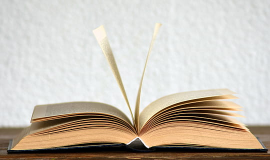 libro marrone, libro, leggere, imparare, testo, letteratura, pagine del libro, font, carta, pagina, navigare, natura morta, conoscere, pagine, campale, libro aperto, romanzo, stampato, formazione scolastica, Aperto, copia spazio, apprendimento, ispirazione, diario, nessuno, ricerca, pubblicazione, creatività, in casa, avvicinamento, singolo oggetto, concentrarsi sulle conoscenze acquisite, assenza, saggezza, tavolo, libro con copertina rigida, studiando, 5K, CC0, dominio pubblico, privo di copyright