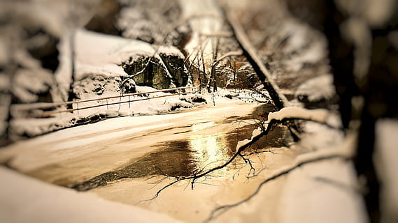 ghiacciato, freddo, inverno, fiume, brina, ghiacciolo, ghiaccio, congelato, la neve, invernale, natura, gelido, paesaggio, eiskristalle, acqua, messa a fuoco selettiva, avvicinamento, nessuno, giorno, pianta, albero, all'aperto, legno - materiale, temperatura fredda, strutturato, bellezza nella natura, concentrarsi sulle conoscenze acquisite, screpolato, vista dall'alto, cibo e bevande, danneggiato, 5K, CC0, dominio pubblico, privo di copyright