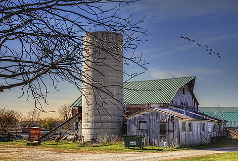 stodola, rustikální, stodoly, Ohio, digitální umění, venkovský, scénický, země, venkov, scenérie, kůlny, hospodařit, zemědělských podniků, zemědělství, zemědělský, statek, champaign, hrabství, americana, fotografie, struktura, struktur, sturgell, william sturgell, Bill Sturgell, historický, domovní dekorace, budov, mraky, nebe, strom, stromy, zataženo, plevele, champaign county, urbana, stavba, architektura, rostlina, exteriér budovy, Příroda, nikdo, holý strom, pták, budova, mrak - nebe, zvířat, den, starý, obratlovců, pole, tráva, zvíře, Dům, venku, 5K, CC0, veřejná doména, bez autorských práv