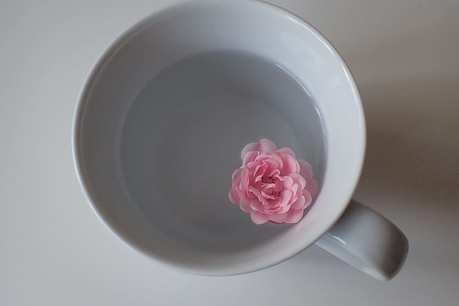 rosa, flor, blanc, ceràmica, tassa, menjar, ou de Pasqua, Pasqua, hartgekocht, personalitzat, colorit, ou pintat, porcellana, romàntic, bucle, ratlles, femení, bolígraf, escriptori, lloc de treball, de colors, primavera, femella, decoració, ala, decoracions de pasqua, tasses d'ou, vermell, sortir, clip de paper, cafè, diaris, or, turquesa, bellesa a la natura, color rosa, planta amb flors, planta, flor de roses, frescor, pètal, primer pla, a l'interior, directament a sobre, naturalesa, cap gent, vulnerabilitat, fragilitat, tir de l'estudi, inflorescència, cap de flor, tassa de te, 1080P