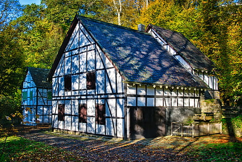 casa, truss, històricament, façana, arquitectura, fachwerkhaus, romàntic, preservació històrica, llocs d'interès, vell, tardor, daurat, esplendor, colorit, idil·li, bosc, naturalesa, sol, ombra lleugera, humor, llum solar, estructura construïda, arbre, planta, exterior de l'edifici, edifici, dia, cap gent, abandonat, a l'aire lliure, terra, creixement, sostre, espatllat, finestra, obsoleta, 5K, CC0, domini públic, lliure de regalies