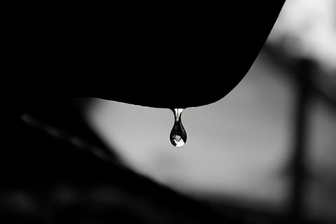 pluja de novembre, paisatge, gota d'aigua, aigua, tirar, degoteig, cara, barbeta, centrar-se en primer pla, primer pla, naturalesa, humit, cap gent, puresa, a l'aire lliure, silueta, enfocament selectiu, moviment, penjant, caient, bellesa a la natura, pluja, dia, gota de pluja, 2K, CC0, domini públic, lliure de regalies