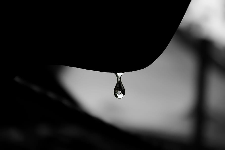 pluja de novembre, paisatge, gota d'aigua, aigua, tirar, degoteig, cara, barbeta, centrar-se en primer pla, primer pla, naturalesa, humit, cap gent, puresa, a l'aire lliure, silueta, enfocament selectiu, moviment, penjant, caient, bellesa a la natura, pluja, dia, gota de pluja, 2K