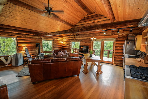 brunt træhus, log hjem, log, hjem, rustik, Land, pioner, gård, træ, enkel, stuehus, hus, landdistrikterne, konstruktion, tømmer, arkitektur, sommerhus, ferie, design, indre, logfiler, vinduer, afsondret, køkken, stue, indendørs, hjemlige værelse, dag, ildsted, hjem interiør, vindue, træ - materiale, trægulv, ingen mennesker, gulve, møbel, loft, fravær, luksus, home showcase interiør, sæde, 2K, CC0, offentligt domæne, royaltyfrie