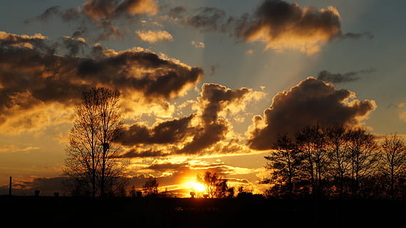solnedgang, skyer, baggrundsbelysning, himmel, baggrundslyset, oransje himmel, aften, udsigt, landskab, natur, ro, silhuet, scenics, sky - himmel, skønhed i naturen, scenics - natur, rolig scene, orange farve, træ, plante, ingen mennesker, idyllisk, sollys, sol, ikke-urbane scene, udendørs, dramatisk himmel, baggrundsbelyst, 5K, CC0, offentligt domæne, royaltyfrie