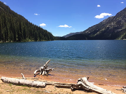 danau zamrud, colorado, gunung, alam, danau, tenang, air, pohon, keindahan di alam, scenics - alam, langit, menanam, adegan yang tenang, ketenangan, hewan, tema binatang, bertulang belakang, adegan non-urban, hari, awan - langit, tidak ada orang, tanah, kayu, kayu apung, 2K, CC0, domain publik, bebas royalti