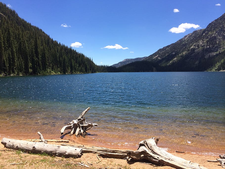 llac de maragda, colorado, muntanya, naturalesa, llac, pacífica, aigua, arbre, bellesa a la natura, escenics - natura, cel, planta, escena tranquil·la, tranquil·litat, animal, temes d'animals, vertebrats, escena no urbana, dia, núvol - cel, cap gent, terra, fusta, fusta flotant, 2K