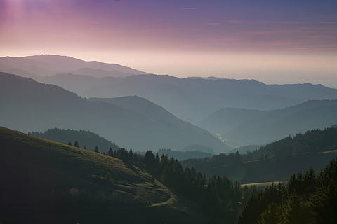 uccello, vista dell'occhio, alberi, colline, natura, paesaggio, montagna, nuvole, cielo, viaggio, avventura, boschi, foresta, scena tranquilla, bellezza nella natura, la tranquillità, Paesaggi, nebbia, nessuno, all'aperto, scenics - natura, ambiente, catena montuosa, scena non urbana, albero, terra, pianta, idilliaco, nuvola - cielo, sole, picco di montagna, 5K, CC0, dominio pubblico, privo di copyright