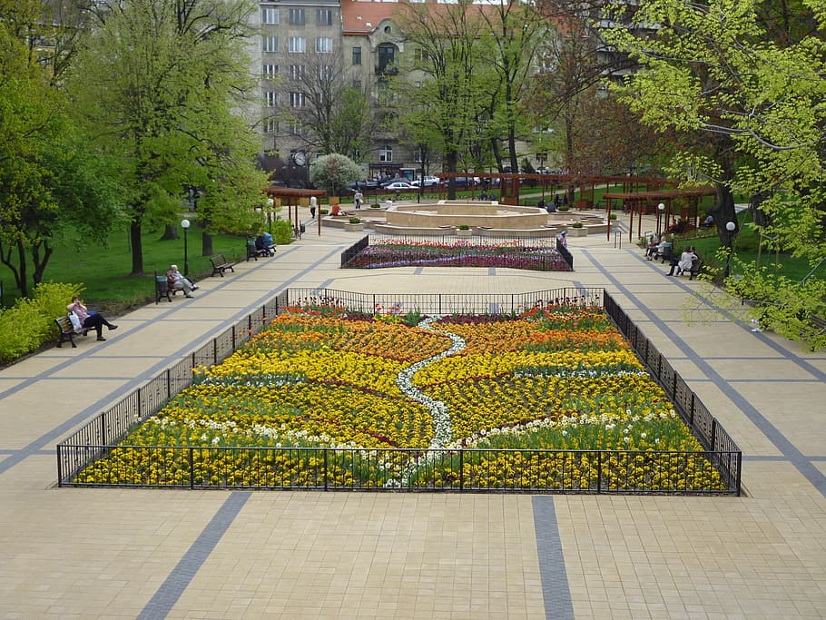 primavera, flors, arbreda, parc, descans, planta, arbre, flor, planta amb flors, persones incidentals, creixement, groc, dia, sendera, persones reals, naturalesa, ciutat, grup de persones, bellesa a la natura, a l'aire lliure, arquitectura, carrer, direcció, color verd, jardí, llit de flors, 1080P