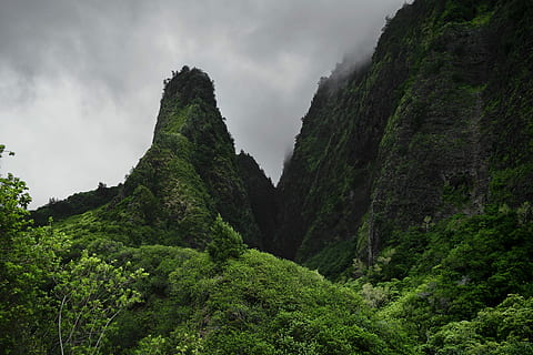 ภาพทิวทัศน์, สีเขียว, ภูเขา, การถ่ายภาพทิวทัศน์, ภูมิประเทศ, จุดสูงสุด, ประชุมสุดยอด, ป่า, ต้นไม้, ป่าไม้, ธรรมชาติ, มีเมฆมาก, เจ้าอารมณ์, เมฆ, หมอก, หุบเขา, ฮาวาย, การท่องเที่ยว, วอลล์เปเปอร์, iao valley, ปลูก, ความงามในธรรมชาติ, Scenics - ธรรมชาติ, ท้องฟ้า, เมฆ - ท้องฟ้า, การเจริญเติบโต, ความเงียบสงบ, ที่ดิน, ไม่มีคน, ฉากที่เงียบสงบ, ฉากที่ไม่ใช่ในเมือง, สิ่งแวดล้อม, วัน, ใบเขียวชอุ่ม, ใบไม้, กลางแจ้ง, ป่าฝน, 5K, CC0, โดเมนสาธารณะ, ค่าลิขสิทธิ์ฟรี