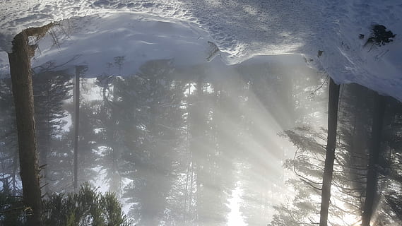 gå, Skov., fantastisk, lys show, åben, Mark, dækket, sne, træer, Skov, sti, tåge, solstråle, vinter, træ, plante, skønhed i naturen, natur, dag, ingen mennesker, kold temperatur, sollys, lav vinkel visning, ro, vand, scenics - natur, udendørs, afspejling, Frosset, jord, istap, 5K, CC0, offentligt domæne, royaltyfrie