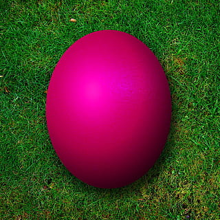 pink ball, lilla, påskeæg, osterrn, æg, påske, farve, farverig, eng, græs, struktur, grøn farve, ingen mennesker, bold, sport, lyserød farve, plante, natur, Mark, jord, høj vinkel visning, dag, vækst, tæt på, udendørs, rød, 1080P, CC0, offentligt domæne, royaltyfrie