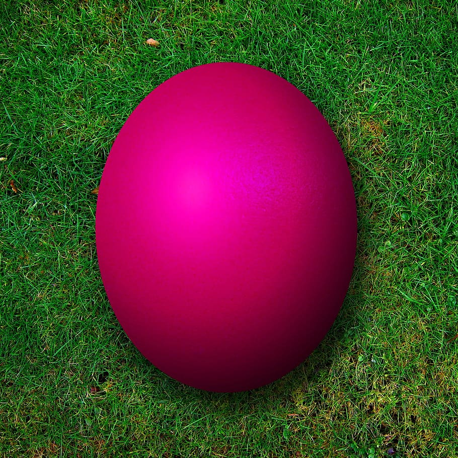 pink ball, lilla, påskeæg, osterrn, æg, påske, farve, farverig, eng, græs, struktur, grøn farve, ingen mennesker, bold, sport, lyserød farve, plante, natur, Mark, jord, høj vinkel visning, dag, vækst, tæt på, udendørs, rød, 1080P