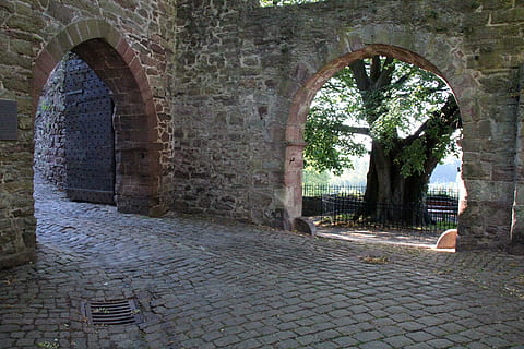 castell de ruïna gris, objectiu, mirant, arbre, pegat, arquitectura, vell, història, europa, medieval, material de pedra, antic, carrer, arc, estructura construïda, el passat, llambordes, dia, cap gent, exterior de l'edifici, pedra, a l'aire lliure, direcció, naturalesa, edifici, planta, el camí a seguir, columna arquitectònica, maó, arruïnat, civilització antiga, paret de pedra, arqueologia, arquejat, 5K, CC0, domini públic, lliure de regalies