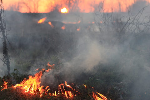 wild vuur, brand, rook, zonsondergang, rood, ramp, apocalyptische, verschrikking, brandend, vuur - natuurverschijnsel, warmte - temperatuur, rook - fysieke structuur, vlam, land-, natuur, boom, buitenshuis, geen mensen, fabriek, Oranje kleur, Bos, bosbrand, milieu, communicatie, waarschuwingsbord, teken, verontreiniging, vreugdevuur, luchtvervuiling, kampvuur, kracht in de natuur, 4K, CC0, publiek domein, royaltyvrij