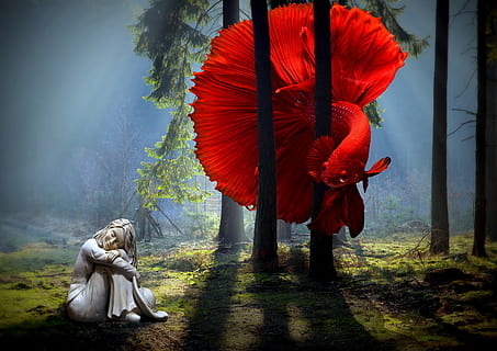 dona, vermell, peix betta, peix, bosc, fosc, llum, estàtua, somiador, fantasia, somni, ombres, boira, art, somiar, betta, aquàtics, contrast, naturalesa, planta, dia, arbre, bellesa a la natura, longitud completa, gent, art i artesania, representació, caminar, paraigua, persones reals, a l'aire lliure, creativitat, persona irreconeixible, religió, terra, 2K, CC0, domini públic, lliure de regalies