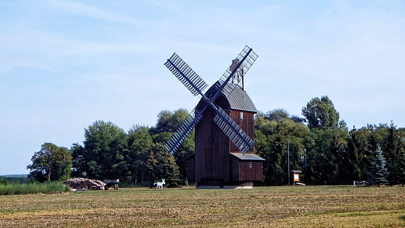 moara de vant, moară, copaci, aripă, windräder, Brandenburg, Putere eoliana, moara de faina, istoricește, arhitectură, cer albastru, turbină eoliană, fermă, Energie alternativa, agricultură, rural, energie regenerabila, mediu inconjurator, turbină, conservarea mediului, copac, plantă, peisaj, combustibil și generarea de energie electrică, camp, cer, mori tradiționale de vânt, teren, construită, natură, exteriorul clădirii, nici o persoana, în aer liber, 4K, CC0, domeniu public, fără drepturi de autor