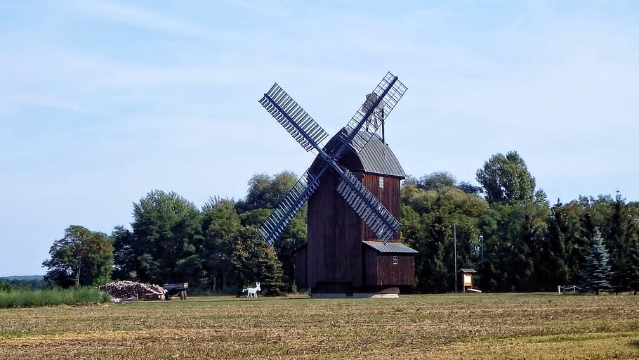 Windmühle, Mühle, Bäume, Flügel, Windräder, Brandenburg, Windkraft, historisch, die Architektur, blauer Himmel, Windkraftanlage, Bauernhof, alternative Energie, Landwirtschaft, ländliche Szene, erneuerbare Energie, Umgebung, Turbine, Umweltschutz, Baum, Pflanze, Landschaft, Kraftstoff- und Stromerzeugung, Feld, Himmel, traditionelle Windmühle, Land, gebaute Struktur, Natur, Gebäudehülle, keine Leute, draußen, 4K