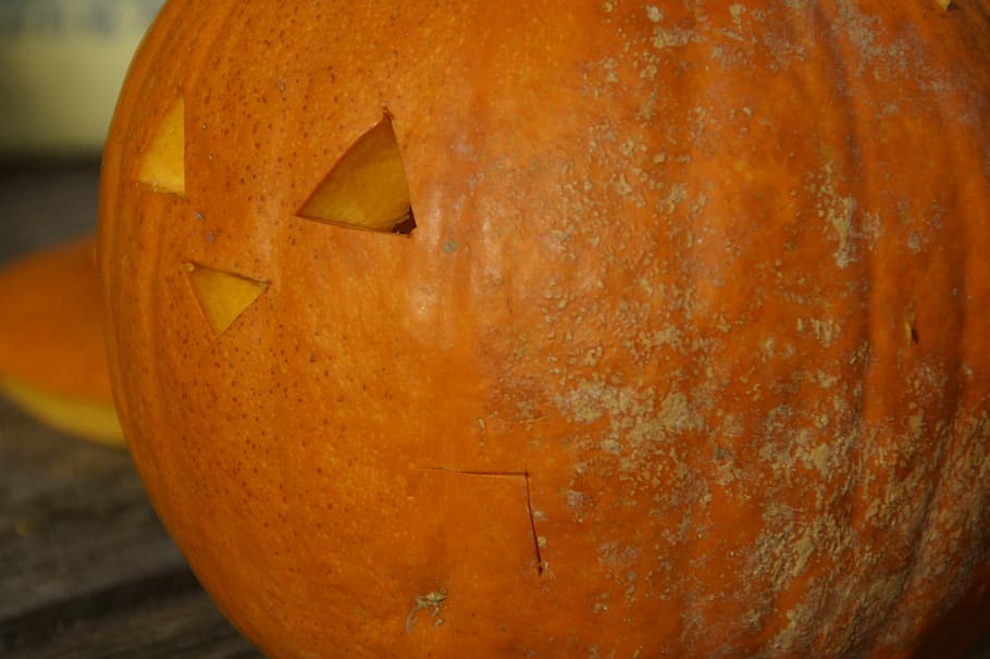 carbassa, taronja, carabasses, brillant, tardor, decoració de tardor, estacional, decoratiu, decoració, acció de gràcies, Halloween, halloween kuerbis, fantasma de carbassa, cara, esculpir el rostre, tallar fantasma de carbassa, fantasma de carbassa diy, color taronja, primer pla, cap gent, groc, a l'aire lliure, dia, menjar i beguda, carbassa de Halloween, menjar, antropomòrfic, cara antropomòrfica, celebració, talla - producte artesanal, art i artesania, creativitat, artesania, centrar-se en primer pla, vacances - esdeveniment, 5K