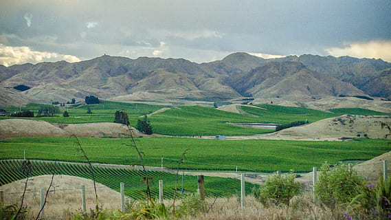 montagna, i campi, vigneti, campo, paesaggio, montagne, cielo, nube, nuvole, natura, vista, strada di montagna, ambiente, scenics - natura, terra, scena rurale, agricoltura, bellezza nella natura, scena tranquilla, la tranquillità, pianta, catena montuosa, nessuno, nuvola - cielo, colore verde, crescita, scena non urbana, all'aperto, 4K, CC0, dominio pubblico, privo di copyright