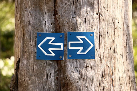 blau i blanc, esquerra, fletxes de direcció dreta, tronc de l'arbre, arbre, tribu, bosc, fletxes, marró, dret, material de fusta, comunicació, signe, primer pla, cap gent, nombre, orientació, blau, dia, text, informació, símbol de fletxa, centrar-se en primer pla, signe d'informació, guió occidental, representació, textura, símbol, a l'aire lliure, representació humana, 2K, CC0, domini públic, lliure de regalies
