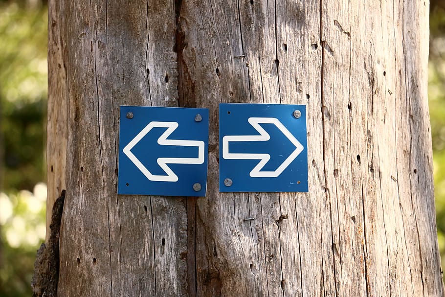 blau i blanc, esquerra, fletxes de direcció dreta, tronc de l'arbre, arbre, tribu, bosc, fletxes, marró, dret, material de fusta, comunicació, signe, primer pla, cap gent, nombre, orientació, blau, dia, text, informació, símbol de fletxa, centrar-se en primer pla, signe d'informació, guió occidental, representació, textura, símbol, a l'aire lliure, representació humana, 2K