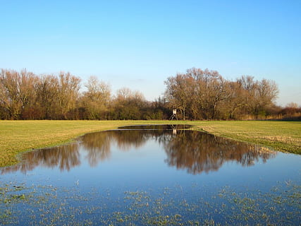 Germania, copaci, cădea, lac, cer, toamnă, reflecții, țară, mediu rural, natură, in afara, reflecţie, copac, scenics, iarbă, plantă, frumusețe în natură, liniște, scenice - natura, apă, o scenă liniștită, scenă non-urbană, zi, idilic, creştere, cer senin, peisaj, spațiu copie, nici o persoana, în aer liber, 1080P, CC0, domeniu public, fără drepturi de autor
