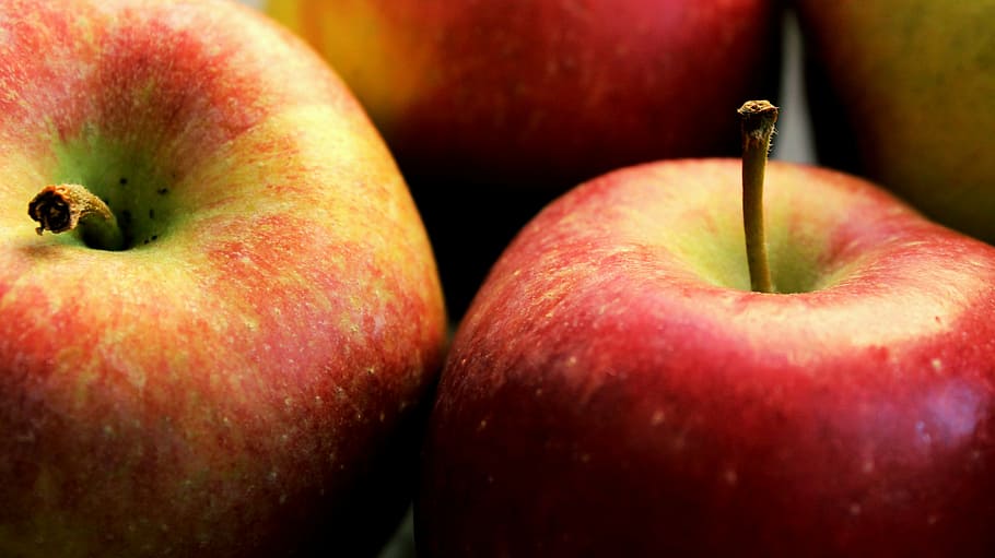fotografie aproape, patru, pui de mere, măr, roșu, fruct, mânca, cultivare, Trăi, alimente, grădină, natură, ușoară, concentra, închide, îngrăşământ, bio, supermarket, cumpărături, a cumpara, bucătar, bucătărie, Frisch, gătire, mere - fructe, mâncat sănătos, mancare si bautura, prospeţime, a închide, copt, bunăstare, studio shot, fundaluri, nici o persoana, în interior, stil de viata sanatos, grup de obiecte, organic, plante stem, suculent, natură moartă, gustare, 5K