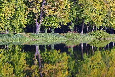 parc acvatic, copac, reflecţie, apă, parc, verde, toamnă, pacea mintii, lac, natură, Polonia, vedere, panoramă, Culoarea verde, nici o persoana, scenics, plantă, frumusețe în natură, creştere, liniște, o scenă liniștită, scenice - natura, malul mării, pădure, zi, teren, scenă non-urbană, idilic, în aer liber, 5K, CC0, domeniu public, fără drepturi de autor