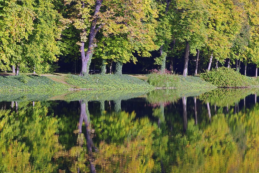 Parco acquatico, albero, riflessione, acqua, parco, verde, autunno, pace della mente, stagno, natura, Polonia, vista, panorama, colore verde, nessuno, Paesaggi, pianta, bellezza nella natura, crescita, la tranquillità, lago, scena tranquilla, scenics - natura, lungomare, foresta, giorno, terra, scena non urbana, idilliaco, all'aperto, bosco, 5K