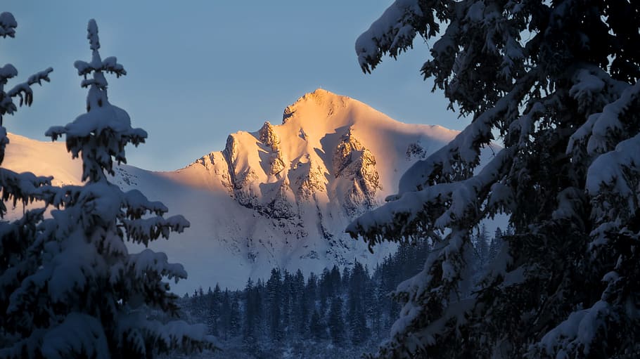 ภูเขา, อัลไพน์, ฤดูหนาว, หิมะ, ภูมิประเทศ, Alp, ภูมิทัศน์ภูเขา, alpenglühen, ธรรมชาติ, ต้นไม้, เทือกเขา, ไม่มีคน, กลางแจ้ง, ท้องฟ้า, อุณหภูมิเย็น, ปลูก, ความงามในธรรมชาติ, ความเงียบสงบ, Scenics - ธรรมชาติ, ฉากที่เงียบสงบ, ฉากที่ไม่ใช่ในเมือง, สิ่งแวดล้อม, ภูเขาหิมะ, วัน, ศิลปะและงานฝีมือ, มุมมองที่ต่ำ, 4K