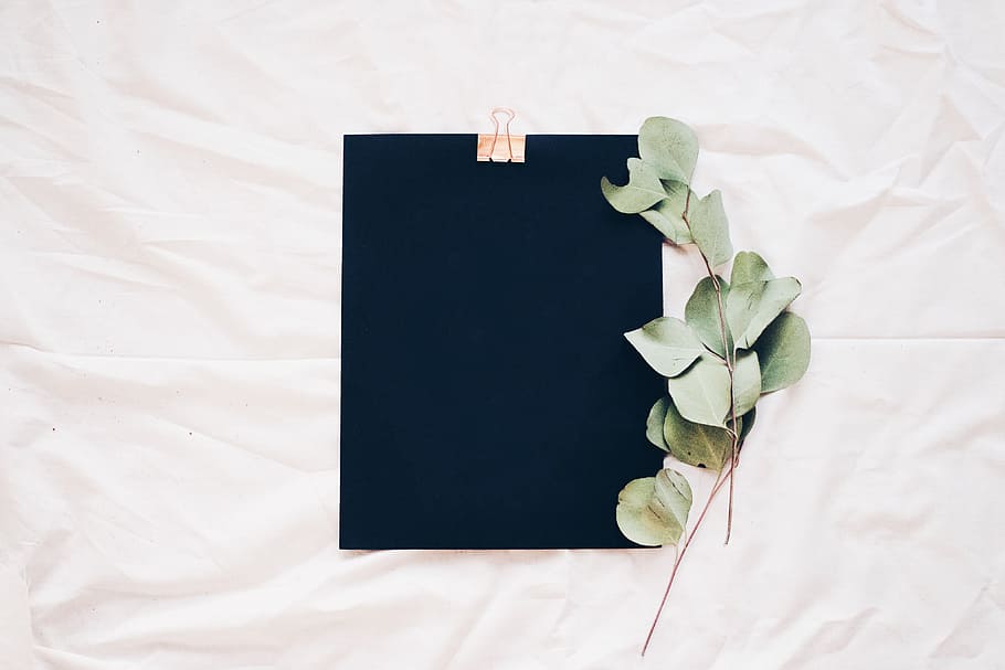 sort, clipboard, hvid, overflade, seng, ark, grøn, plante, blade, ingen mennesker, indendørs, stilleben, tæt på, blad, høj vinkel visning, plante del, hvid farve, papir, sort farve, blank, bord, direkte over, tekstil, natur, dag, kopiere plads, mønster, studio skud, skrøbelighed, 4K