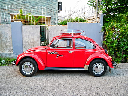 vermell, aparcament escarabat, frontal, casa, aparcat, escarabat volkswagen, escarabat, cotxe, error, vw, transport, manera de transport, arquitectura, vehicle terrestre, ciutat, estructura construïda, automòbil, exterior de l'edifici, dia, carrer, cap gent, estil retro, estacionari, edifici, paret, planta, carretera, 4K, CC0, domini públic, lliure de regalies