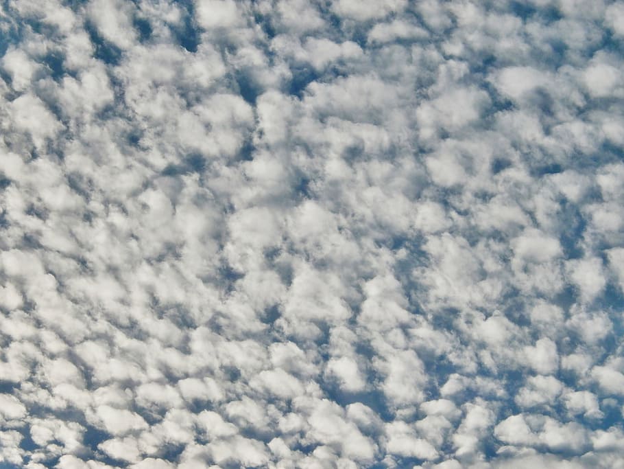 cirrocúmul, núvol, cel, núvol - cel, bellesa a la natura, cloudscape, blau, escenics - natura, fons, naturalesa, atmosfera, cap gent, esponjós, tranquil·litat, Color blanc, medi ambient, idíl·lic, a l'aire lliure, marc complet, dia, vent, suavitat, meteorologia, a dalt, 2K