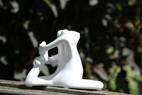 Yoga, Frog, Gymnastics, no people, outdoors, day, close-up, focus on foreground, white color, plant, sculpture, tree, representation, nature, art and craft, animal representation, creativity, ceramics, statue, shape, sunlight, craft, animal, 5K, CC0, public domain, royalty free