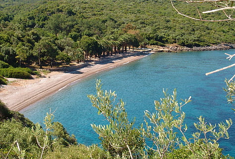 gall dindi, datca, platja, reservat, mar, solitari, aigua, planta, arbre, bellesa a la natura, creixement, naturalesa, escenics - natura, dia, escena tranquil·la, tranquil·litat, vista d’angle alt, color verd, terra, cap gent, a l'aire lliure, bosc, escena no urbana, 2K, CC0, domini públic, lliure de regalies