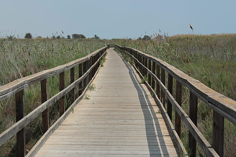strand, sti, gå, sol, natur, gateway, træ, hav, horisont, ferie, fred, græs, udsigtspunkt, kystnære, kyststien, vejen frem, retning, rækværk, jord, faldende perspektiv, plante, ingen mennesker, boardwalk, træ - materiale, ro, bro, forbindelse, dag, rolig scene, landskab, bygget struktur, himmel, udendørs, gangbro, træpaneler, lang, 5K, CC0, offentligt domæne, royaltyfrie