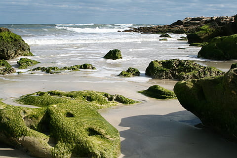 oceán, pláž, roche, moře, pobřežní čára, Příroda, rock - objekt, voda, krása v přírodě, scenics - příroda, přistát, den, Skála, rostlina, klid, nikdo, nebe, klidné scény, pevný, venku, strom, zelená barva, horizont nad vodou, 2K, CC0, veřejná doména, bez autorských práv
