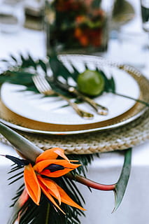 colorato, esotico, fiori, verdura, flora, foglia, le foglie, tropicale, multicolore, piatto, vasellame, argenteria, cena, tavolo, cibo, forchetta, decorazione, cenare, pasto, ristorante, coltello da tavola, nessuno, fiore, avvicinamento, all'aperto, freschezza, pianta fiorita, pianta, utensile da cucina, concentrarsi sulle conoscenze acquisite, messa a fuoco selettiva, natura morta, petalo, natura, in casa, bellezza nella natura, vulnerabilità, testa di fiore, ambientazione, 5K
