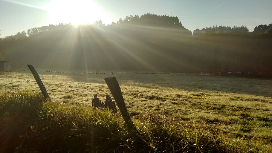 gespa verda, sol, raigs, gespa, eventide, Quant a, gratitud, crepuscle, Camí, santiago, espanya, naturalesa, camp, tranquil·litat, escena tranquil·la, agricultura, paisatge, llum solar, raig de sol, planta, flare de la lent, herba, cel, bellesa a la natura, escenics - natura, terra, escena no urbana, cap gent, medi ambient, creixement, tanca, brillant, 2K