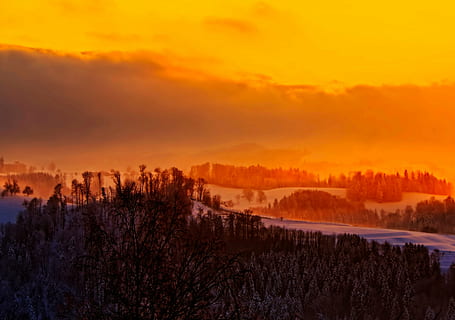 hava, Fotoğraf, ağaçlar, golding saat, gün batımı, Portakal, gökyüzü, bitki, doğa, kar, kış, siluet, turuncu renk, dramatik gökyüzü, ağaç, scenics, peyzaj, doğada güzellik, açık havada, manzaralar - doğa, çevre, bulut - gökyüzü, sakin sahne, insansız, huzur, orman, Güneş, arazi, ormanlık, 4K, CC0, kamu malı, telif ücretsiz