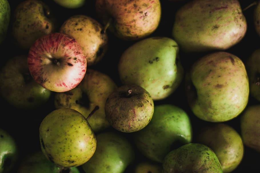 unreife Äpfel, grüne Frucht viel, Äpfel, Obst, Apfel, Flatlay, Tabelle, Hintergrund, Tapete, Ansicht von oben, rustikal, Herbststimmung, Ernte, rot, warm, Grün, launisch, gesundes Essen, Lebensmittel, Essen und Trinken, Frische, Wohlbefinden, keine Leute, große gruppe von gegenständen, Vollbild, Nahansicht, Hintergründe, Apfel - Frucht, Fülle, organisch, grüne Farbe, Stillleben, reif, Tag, Markt, Mango-Frucht, 5K