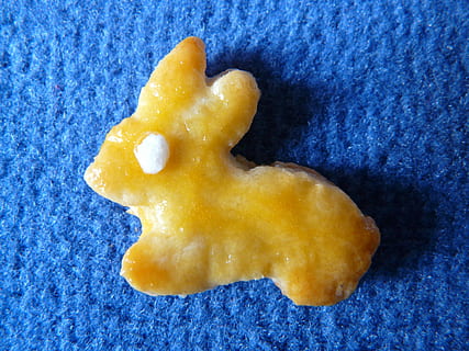 velikonoční zajíček, velikonoční, velikonoční dorty, zajíc, upéct, těsto, ausstecherle, recept, trouba, cookie, jemné pečivo, malé koláče, suchar, jídlo, Vánoce, dezert, modrý, detail, nikdo, uvnitř, jídlo a pití, svěžest, tvar, pod vodou, moře, jeden objekt, stálý život, barevné pozadí, voda, studio shot, Příroda, žlutá, vysoký úhel pohledu, mořský život, texturou, modré pozadí, námořní, 2K, CC0, veřejná doména, bez autorských práv