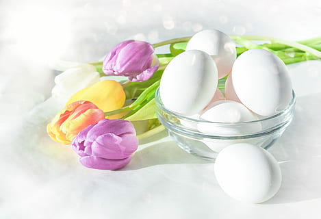 putih, telur, bersih, mangkuk kaca, Paskah, bunga, Desktop, sehat, warna, pastel, merapatkan, makanan, kesehatan, terang, tradisional, kesegaran, bunga tulp, musim semi, segar, liburan, hijau, musim, dekorasi, meja, penuh warna, senang, meriah, perayaan, tanaman berbunga, menanam, kerentanan, alam, tidak ada orang, keindahan di alam, kerapuhan, telur Paskah, masih hidup, multi-warna, wadah, dalam ruangan, makanan dan minuman, kepala bunga, eggcup, ungu, 4K, CC0, domain publik, bebas royalti