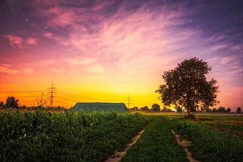 fotografering av gården, solnedgang, skumring, himmel, skyer, stjerner, trær, silhuetter, landskap, scenisk, felt, eng, gård, farger, fargerik, vakker, land, landlig, jordbruk, ensomhet, hdr, landlige scene, scenics, tre, sky - himmel, natur, anlegg, skjønnhet i naturen, naturskjønnhet - natur, ro, miljø, rolig scene, vekst, gress, oransje farge, ingen folk, utendørs, elektrisitet, strømforsyning, 1080P, CC0, offentlig domene, opphavsrett gratis