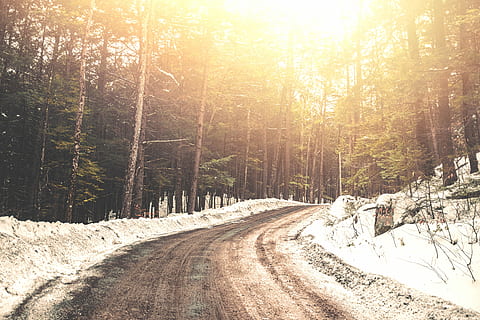 empty, road, trees, golden, hours, landscape photo, path, snow, sunset, trail, tree, plant, cold temperature, land, winter, forest, nature, beauty in nature, direction, transportation, the way forward, scenics - nature, sunlight, tranquility, no people, tranquil scene, non-urban scene, outdoors, diminishing perspective, lens flare, 5K, CC0, public domain, royalty free
