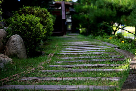 forest road, gil, trail, cold trails, garden, plant, no people, tree, direction, nature, the way forward, green color, growth, selective focus, footpath, tranquility, day, stone, architecture, outdoors, solid, park, tranquil scene, staircase, park - man made space, garden path, hedge, 5K, CC0, public domain, royalty free