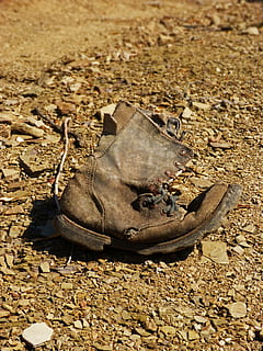 Stiefel, alt, verlassen, Pfad, Symbol, Metapher, gebraucht, Land, Schmutz, Tag, Tierwelt, keine Leute, Tiere in freier Wildbahn, Natur, High Angle View, Tier, ein Tier, Tierthemen, Sand, Reptil, Sonnenlicht, draußen, Wirbeltier, Nahansicht, Schuh, Feld, unordentlich, 4K, CC0, gemeinfrei, lizenzfrei