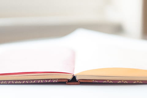 livre vide minimal, minimal, vide, livre, objets, éducation, fermer, apprentissage, page, espace de copie, Littérature, publication, papier, à l'intérieur, personne, ouvrir, bloc note, sagesse, nature morte, crayon, se concentrer sur le premier plan, la créativité, compétence, deux objets, journal intime, livre à couverture rigide, en train d'étudier, cahier de texte, petit, 4K, CC0, domaine public, libre de droits