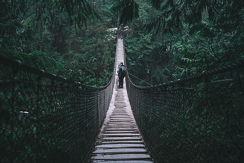 person, brown, hanging, bridge, man, walking, structure, forest, tree, greenery, suspension bridge, architecture, crossing, human, nature, swinging bridge, direction, the way forward, plant, land, connection, rope bridge, day, tranquility, bridge - man made structure, diminishing perspective, growth, rope, outdoors, footbridge, footpath, transportation, woodland, 5K, CC0, public domain, royalty free
